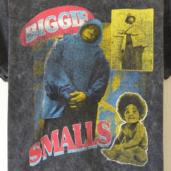 The Notorious B.I.G. Biggie Smalls Graphic Short Sleeve Crewneck T-shirt Gray L - Picture 3 of 9